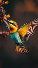 bird 03